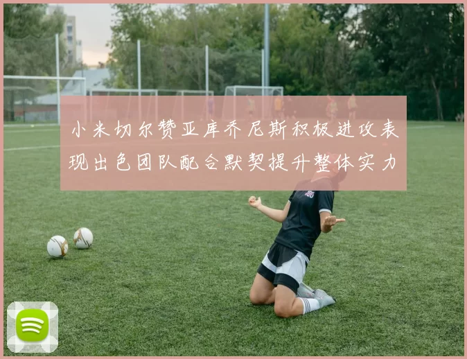 小米切尔赞亚库乔尼斯积极进攻表现出色团队配合默契提升整体实力